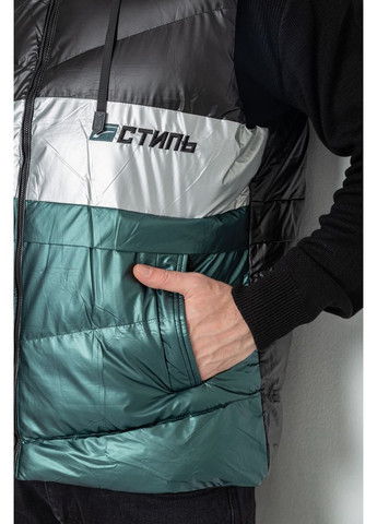 Жилетка чоловіча демісезонна, 244R990013 Ager (361225690)