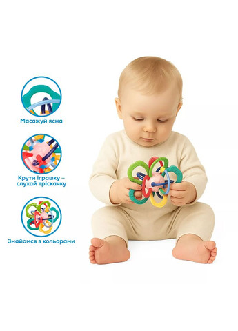 Іграшка-прорізувач Барвиста квітка (DM321-UA) KIDDI SMART (369905214)