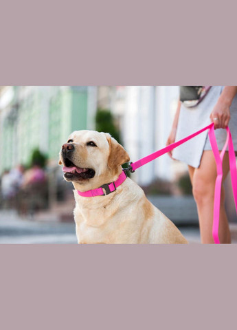 Повідець для собак водостійкий Waterproof Ш 25 мм Д 183 см Рожевий WAUDOG (322528110)