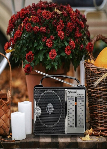 Радіоприймач переносний від мережі 220в або батарейок RX-606 Golon (319205376)