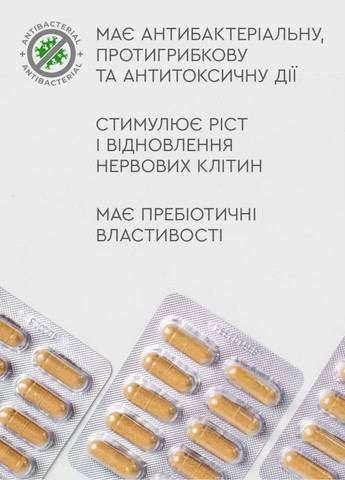 Імунна формула - підвищити імунітет фітокомплекс PHYTO Чойс (30 капсул) CHOICE (332987511)