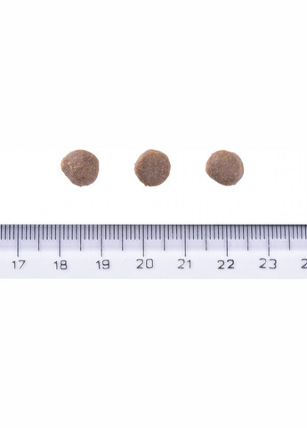 Корм для щенков Dog Grain-free Puppy беззерновой с лососем 3 кг (8595602558810) Brit Care (316226831)