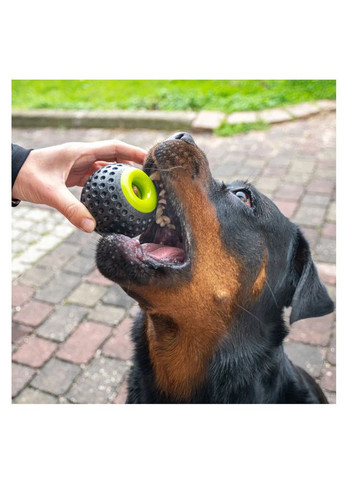 Игрушка для собак Chewa Boing Dispenser Large ø 8 см 86623099 Ferplast (275797359)