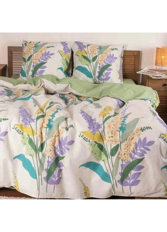 Постільна білизна двоспальне Ранфорс 23224-2 210х175 см Viluta (336328037)