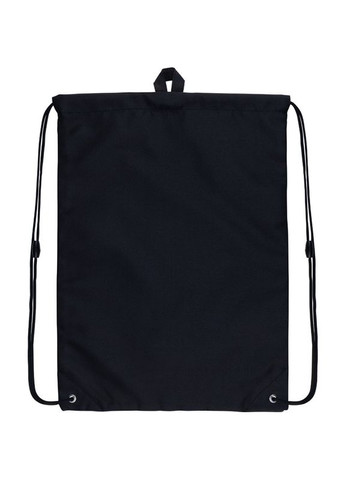 Сумка для обуви " "SN22-600L/ Education Snoopy (61823) (1/25/100) Kite (367761648)