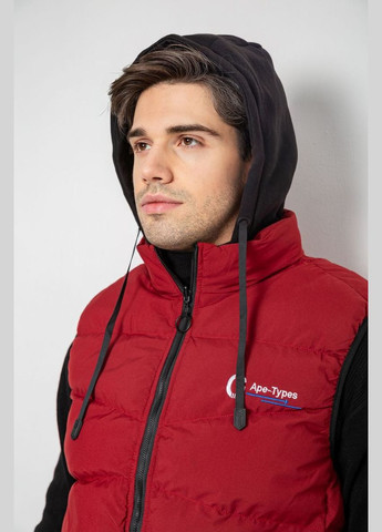 Жилетка чоловіча демісезонна двостороння,, 244R99008 Ager (317448876)