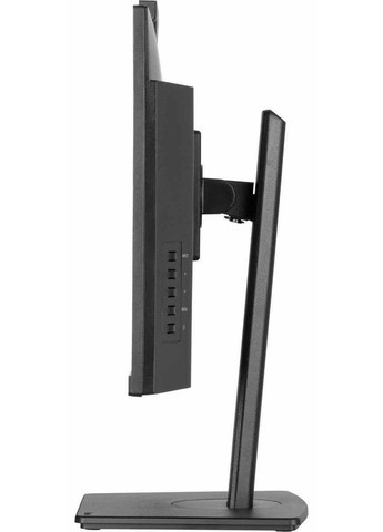 Монитор 23.8" ProLite XUB2490HSUH-B2 Black Iiyama (361079412)