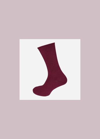Набір шкарпеток жіночих високих бавовняних Лана Теніс colorful 5 пар Асорті No Brand (285793088)