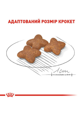 Сухой корм для собак Mini Adult мелких пород от 10 месяцев 8 кг (3182550716888) (98749) Royal Canin (279569543)