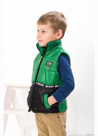 Зеленый демисезонный жилетка для мальчика (демисезон) (p-9663) Носи своє