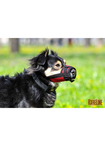 Намордник сетка из нейлона для йорка размер XXS Красный Kareline (339075398)