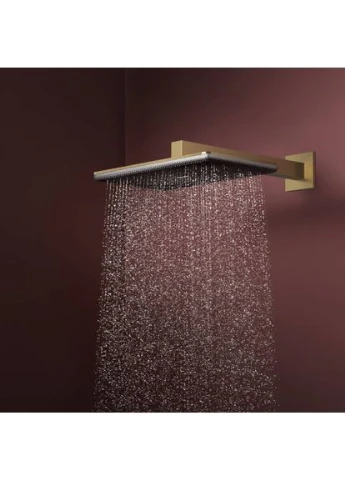 Верхний душ RAINDANCE ALIVE, бронза, прямоугольная Hansgrohe (401624628)