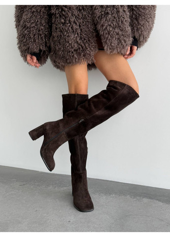 Демісезонні ботфорти No Brand (370268741)