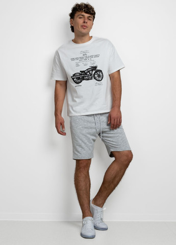 Шорты мужские 102419 Power (303320409)