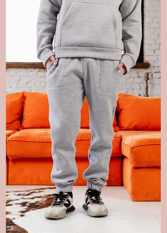 Теплый костюм мужской (худы и брюки) однотонный HC (h001-8361-025) Носи своє (368474789)