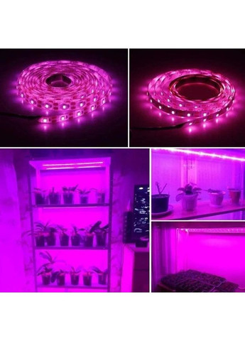 Светодиодная Фитолента для Комнатных Растений 5V USB 3 Метра Greenhouse (371875547)