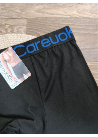 Чоловічі труси - боксери,, розміри від 4XL до 6XL CAREUOKIN (365331399)