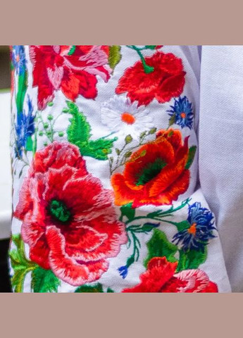 Жіноча вишиванка Полумяний вихор батал молочна Galychanka 6913 (326520072)