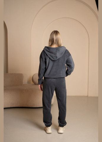 Жіночий флісовий костюм на замку з капюшоном сірого кольору, No Brand 7032 (316703280)