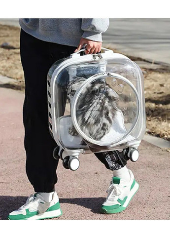 Візок з телескопічною ручкою на колесах 4 штуки для тварин котів собак вагою до 6 кг 40х40х22 см (481132-Prob) Білий Unbranded (354180122)