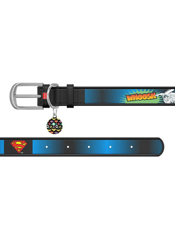 Нашийник для собак шкіряний Design з "Супермен2" Ш 25 мм Д 37-48 см Чорний WAUDOG (322328495)