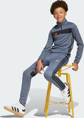 Комбинированные спортивные демисезонные брюки adidas