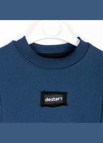 Детский теплый костюм Dexter`s на флисе blue dexter's (304547893)