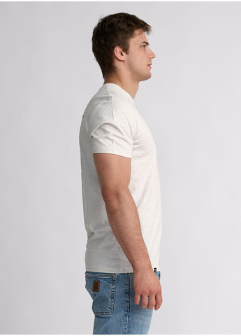 Світло-сіра футболка BIG PRINT IPPON GEAR (363330205)