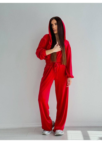 Жіночий велюровий спортивний костюм No Brand Г1469-1218 (356568379)