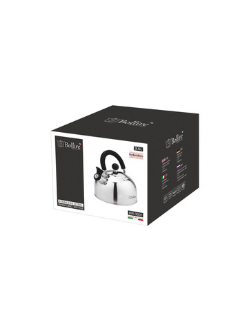 Чайник 2,5 л BR-3001 Bollire (362263931)