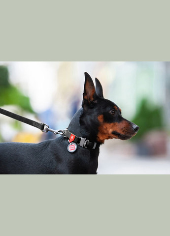 Ошейник для собак водостойкий Waterproof c QR-паспортом, металлическая пряжка-фастекс, Ш 25 мм, Дл 34-49 см черный WAUDOG (322328517)