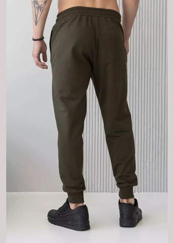 Штани джогери чоловічі TOTALFIT (322873637)