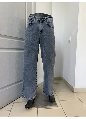 Джинси чоловічі широкі баггі прямі стрейч 29 сірі DESTRY (354332046)