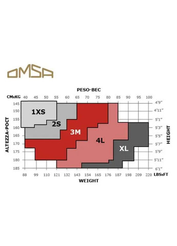 Колготки жіночі прозорі Attiva 40 Omsa (318459833)
