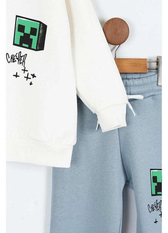 Спортивный костюм утепленный Minecraft TRW0812251 Disney Спортивний костюм (370215965)