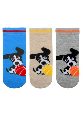 Шкарпетки 3 Шт. 18797@3 Mix Bross (322561135)