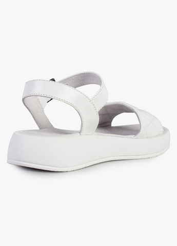 Белые босоножки женские бренда 8301751_(1) ModaMilano на кнопках