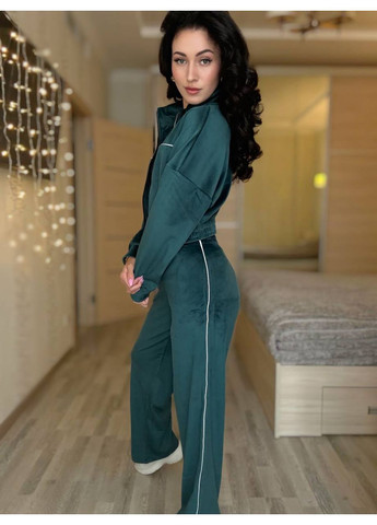 Жіночий спортивний костюм із велюру Україна (360548535)