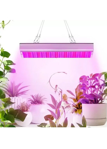 Світлодіодна лампа з червоними синіми світлодіодами для правильного вирощування розвитку рослин 36 Вт 225 LED (481603-Prob) Unbranded (363368374)