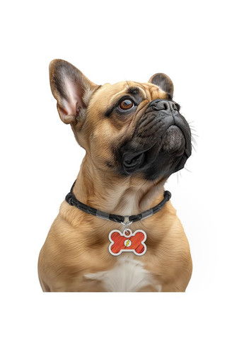 Адресник для собак та котів металевий Smart ID з QR паспортом, малюнок "Флеш лого", кістка, 40х28 мм WAUDOG (349225864)