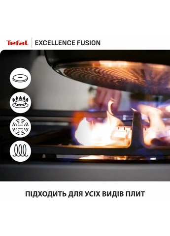 Сковорода Excellence Fusion 24 см (G3388402) Tefal (398839028)