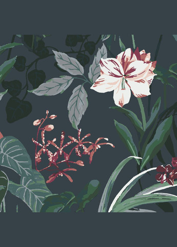 Комплект картин по номерам Таинственные орхидеи (ITR-056) 4 шт. Riviera Blanca (303135403)