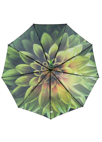 Женский зонт полуавтомат на 9 спиц Toprain (289977329)