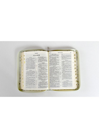 Библия CUV «Ростки веры» — украинская Библия в современном переводе, на замке, с индексами Українське Біблійне Товариство (367983129)