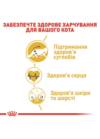 Сухий корм для дорослих кішок Mainecoon Adult 2 кг (3182550710640) 2550020 Royal Canin (364788938)
