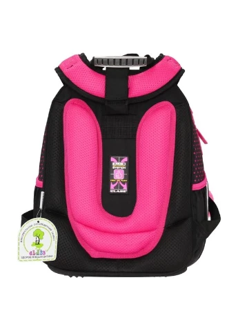 Рюкзак шкільний ортопедичний для дівчинки School Case Ice cream 2 відділи (2404C) Class (398244279)