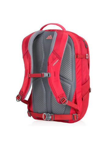 Городской рюкзак Sigma 28л Des.Rose (104093/1297) Gregory (322206855)