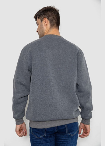 Сірий демісезонний батник чоловічий на флісі Ager 244R2556