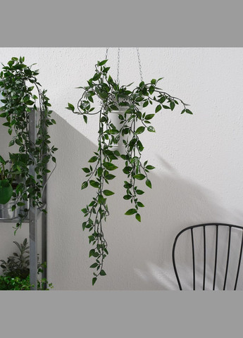 Искусственное растение в горшке ИКЕА FEJKA 9 см висит (40349531) IKEA (284667146)
