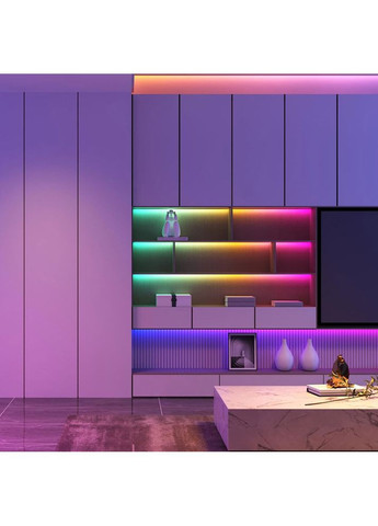 Умная светодиодная лента H619A RGBIC Basic Wi-Fi + Bluetooth LED Strip Light (H619A3D1) Govee (322907394)